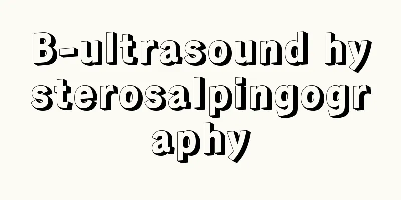 B-ultrasound hysterosalpingography