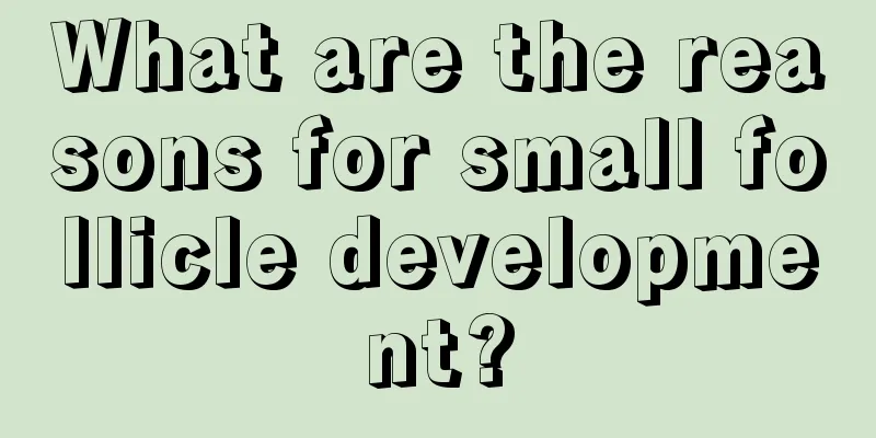 What are the reasons for small follicle development?