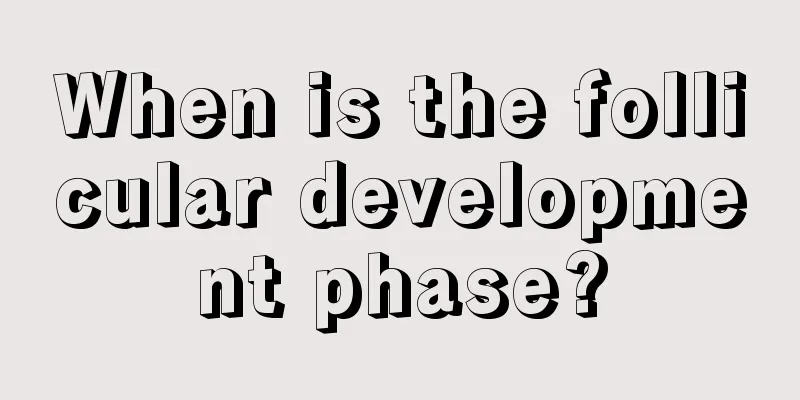 When is the follicular development phase?