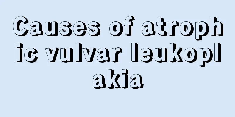 Causes of atrophic vulvar leukoplakia