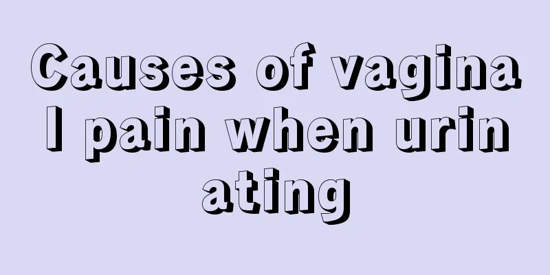 Causes of vaginal pain when urinating