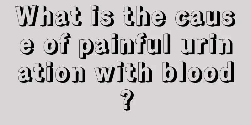 What is the cause of painful urination with blood?