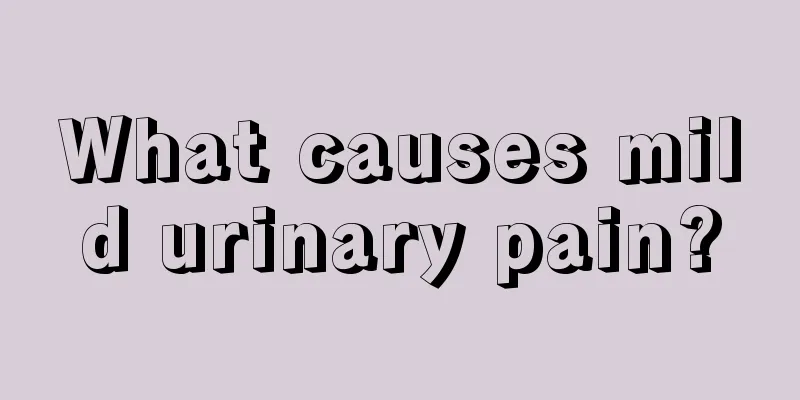 What causes mild urinary pain?