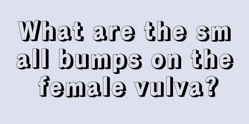 What are the small bumps on the female vulva?