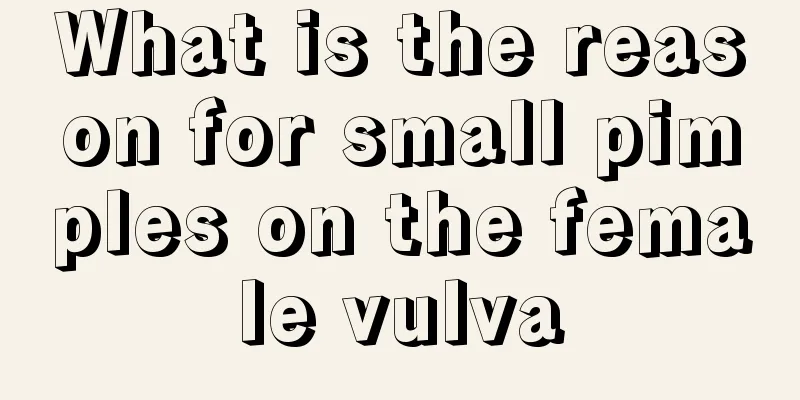 What is the reason for small pimples on the female vulva