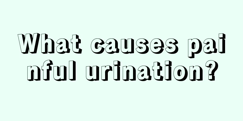 What causes painful urination?