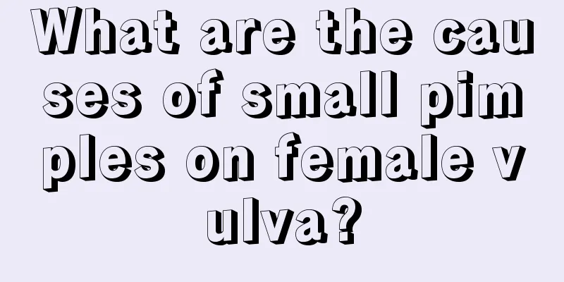 What are the causes of small pimples on female vulva?