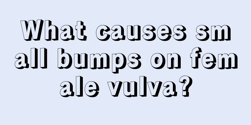 What causes small bumps on female vulva?