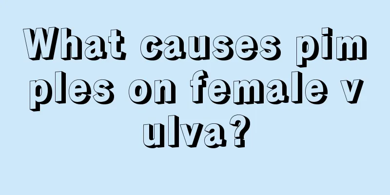 What causes pimples on female vulva?