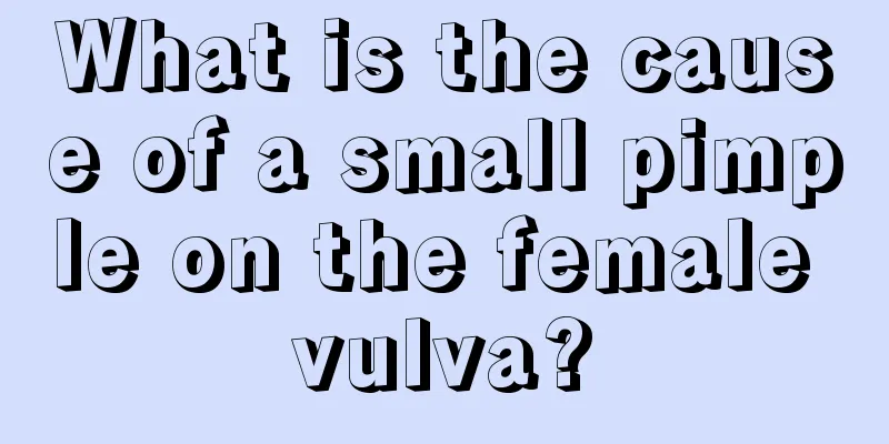 What is the cause of a small pimple on the female vulva?