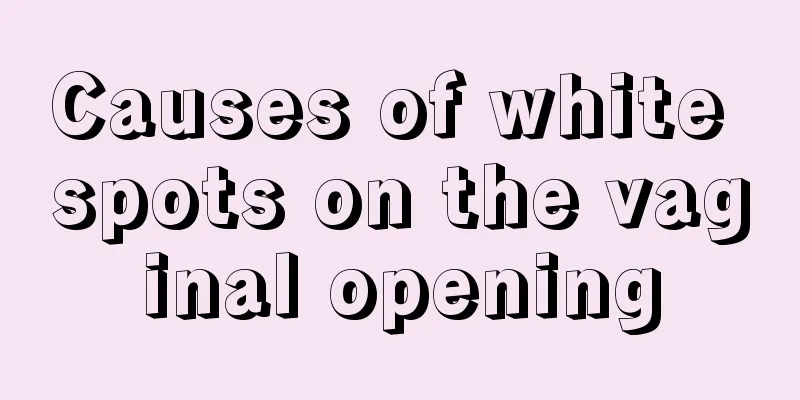 Causes of white spots on the vaginal opening