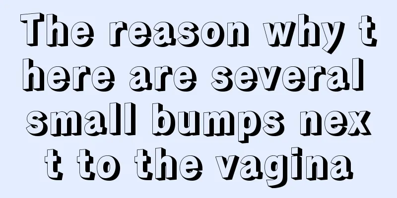 The reason why there are several small bumps next to the vagina