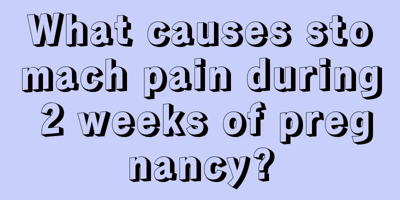 What causes stomach pain during 2 weeks of pregnancy?