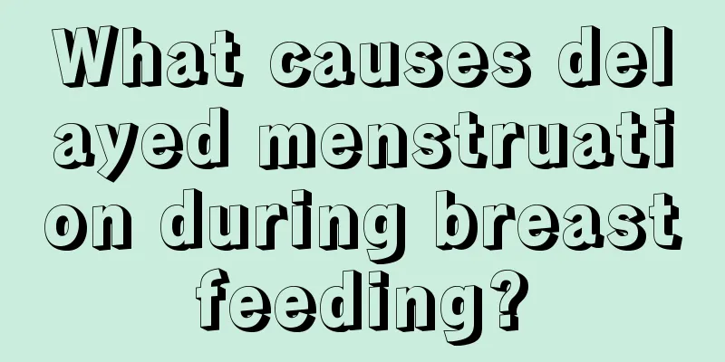 What causes delayed menstruation during breastfeeding?