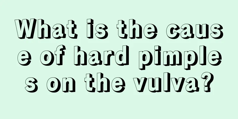 What is the cause of hard pimples on the vulva?