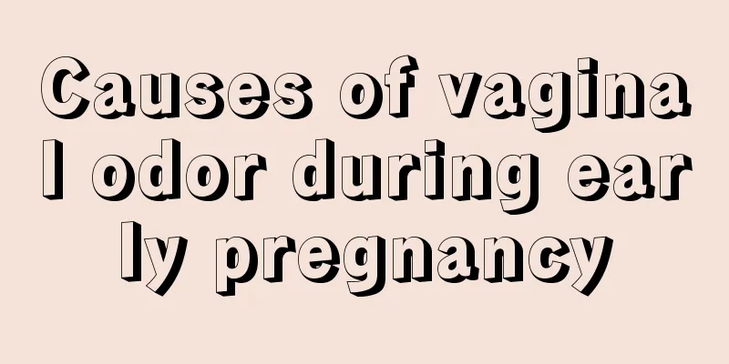 Causes of vaginal odor during early pregnancy