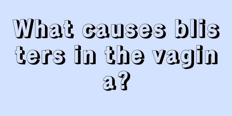 What causes blisters in the vagina?