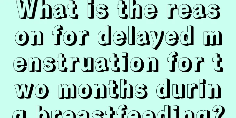 What is the reason for delayed menstruation for two months during breastfeeding?