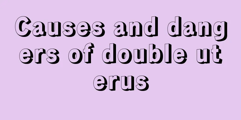 Causes and dangers of double uterus