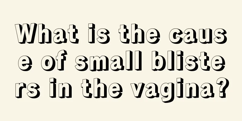 What is the cause of small blisters in the vagina?