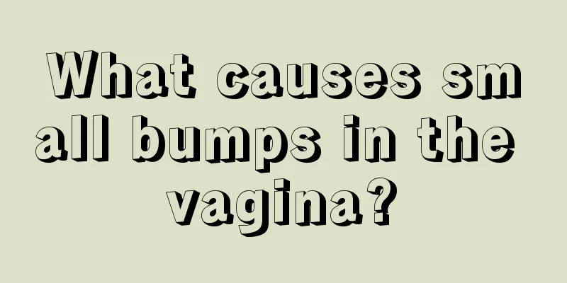 What causes small bumps in the vagina?