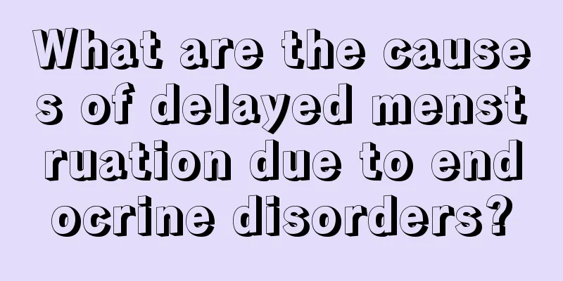 What are the causes of delayed menstruation due to endocrine disorders?