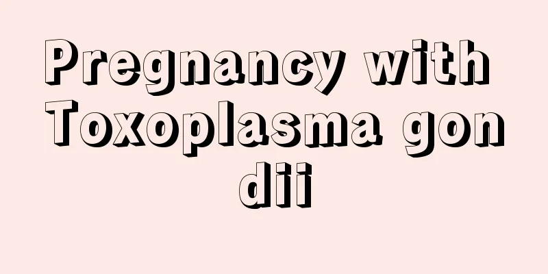 Pregnancy with Toxoplasma gondii