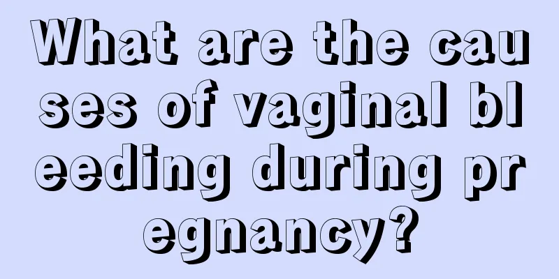 What are the causes of vaginal bleeding during pregnancy?