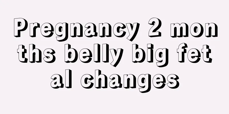 Pregnancy 2 months belly big fetal changes