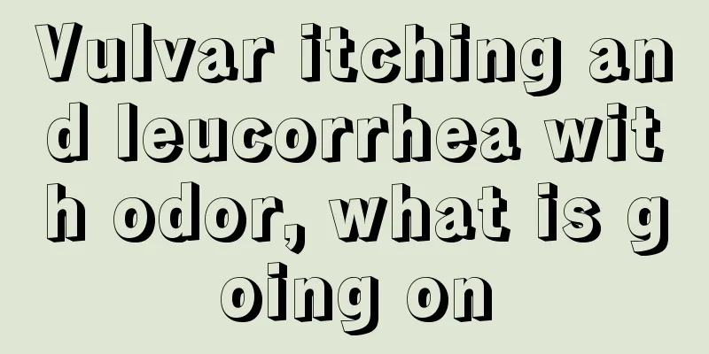 Vulvar itching and leucorrhea with odor, what is going on