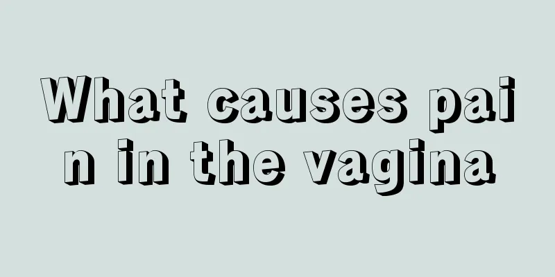 What causes pain in the vagina