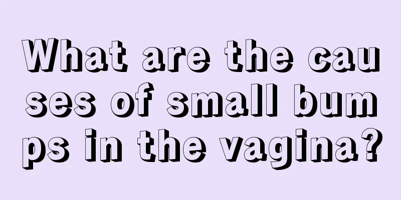 What are the causes of small bumps in the vagina?