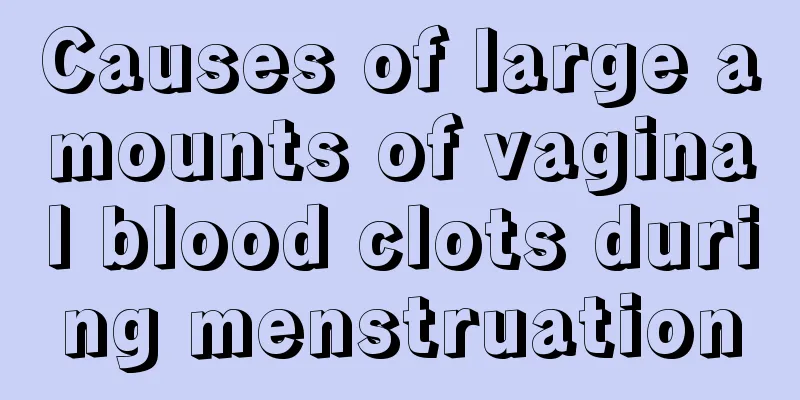 Causes of large amounts of vaginal blood clots during menstruation