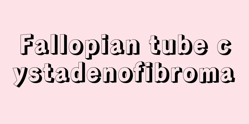 Fallopian tube cystadenofibroma