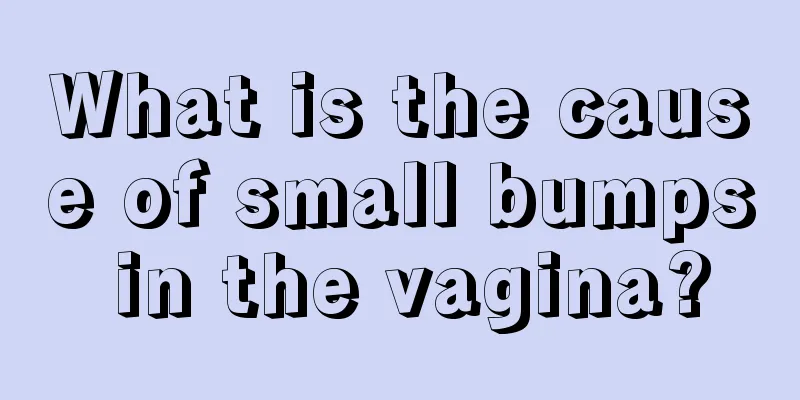 What is the cause of small bumps in the vagina?