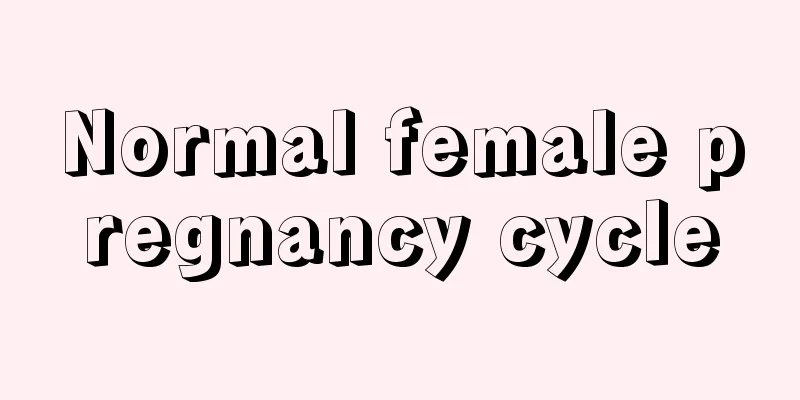 Normal female pregnancy cycle