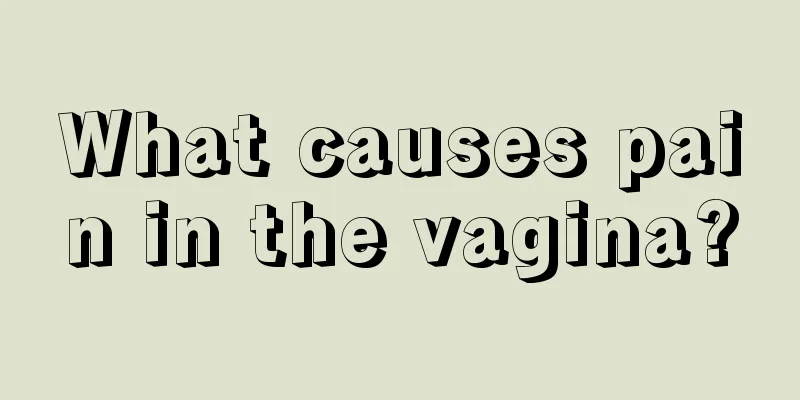 What causes pain in the vagina?