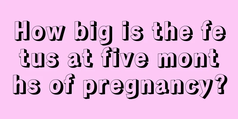 How big is the fetus at five months of pregnancy?