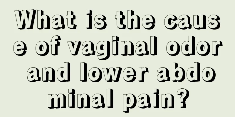 What is the cause of vaginal odor and lower abdominal pain?