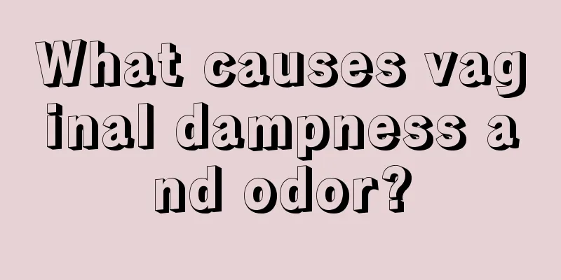 What causes vaginal dampness and odor?