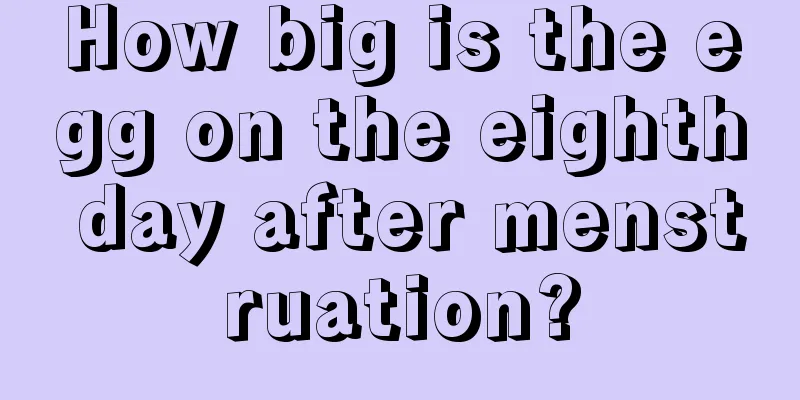 How big is the egg on the eighth day after menstruation?