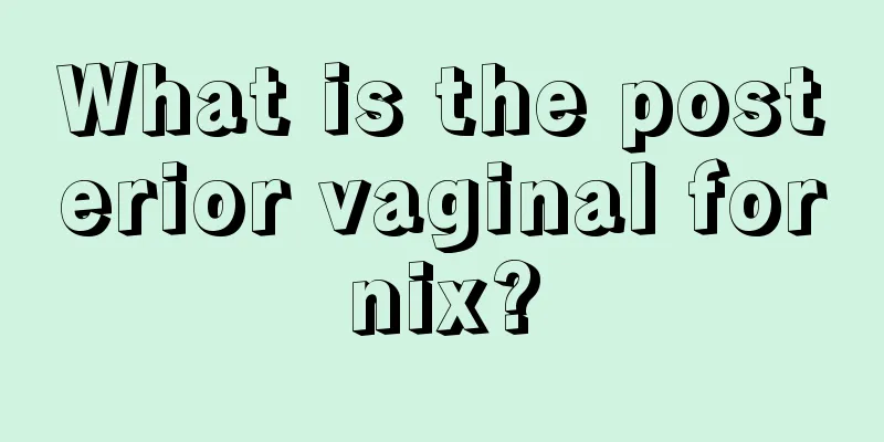 What is the posterior vaginal fornix?