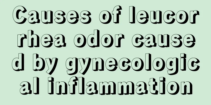 Causes of leucorrhea odor caused by gynecological inflammation