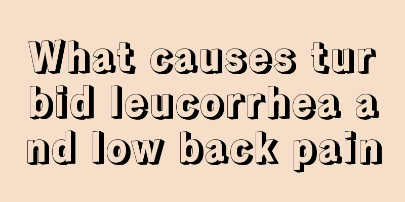 What causes turbid leucorrhea and low back pain