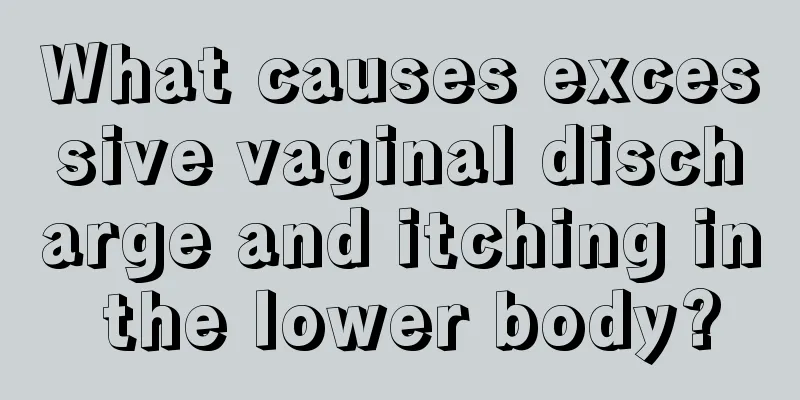 What causes excessive vaginal discharge and itching in the lower body?