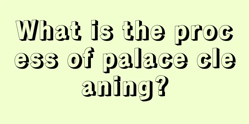 What is the process of palace cleaning?