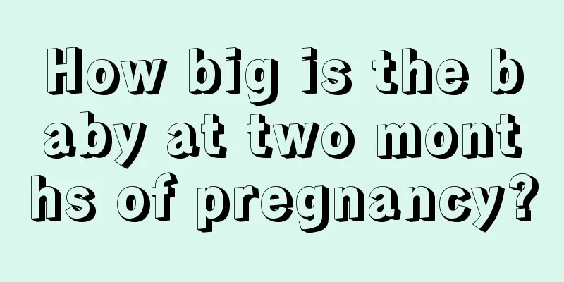 How big is the baby at two months of pregnancy?