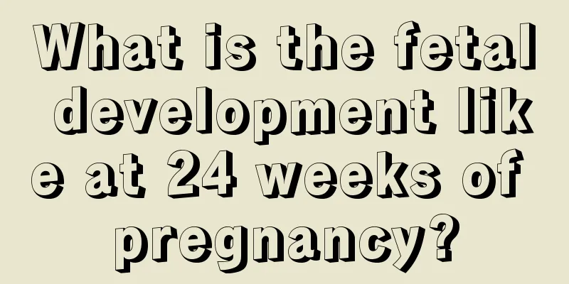 What is the fetal development like at 24 weeks of pregnancy?