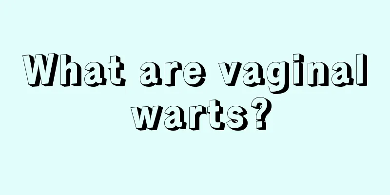 What are vaginal warts?