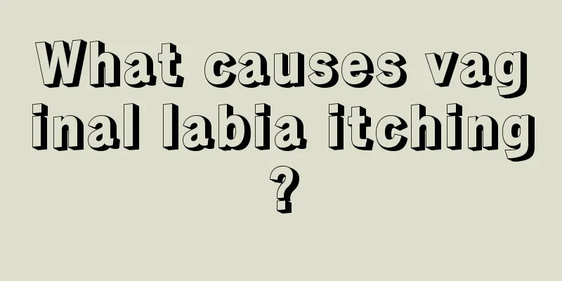 What causes vaginal labia itching?